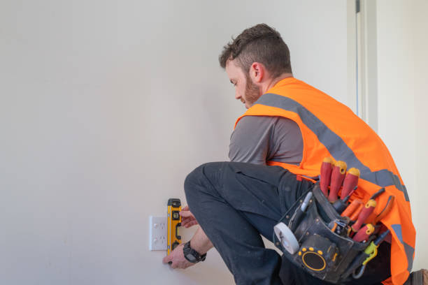 Best Electric Panel Repair  in Estero, FL